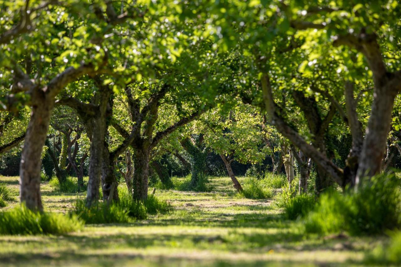 Vila Dragon Orchard Retreat Ledbury Exteriér fotografie
