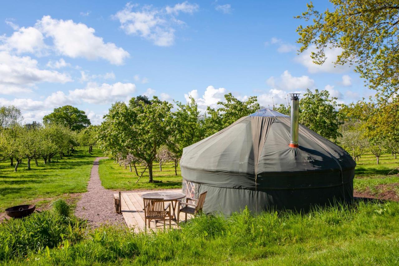Vila Dragon Orchard Retreat Ledbury Exteriér fotografie