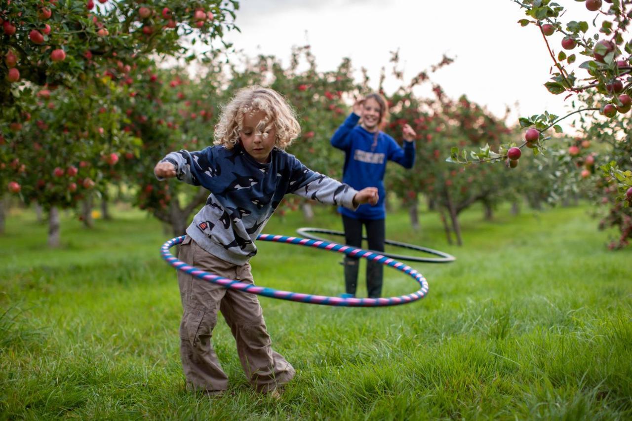 Vila Dragon Orchard Retreat Ledbury Exteriér fotografie