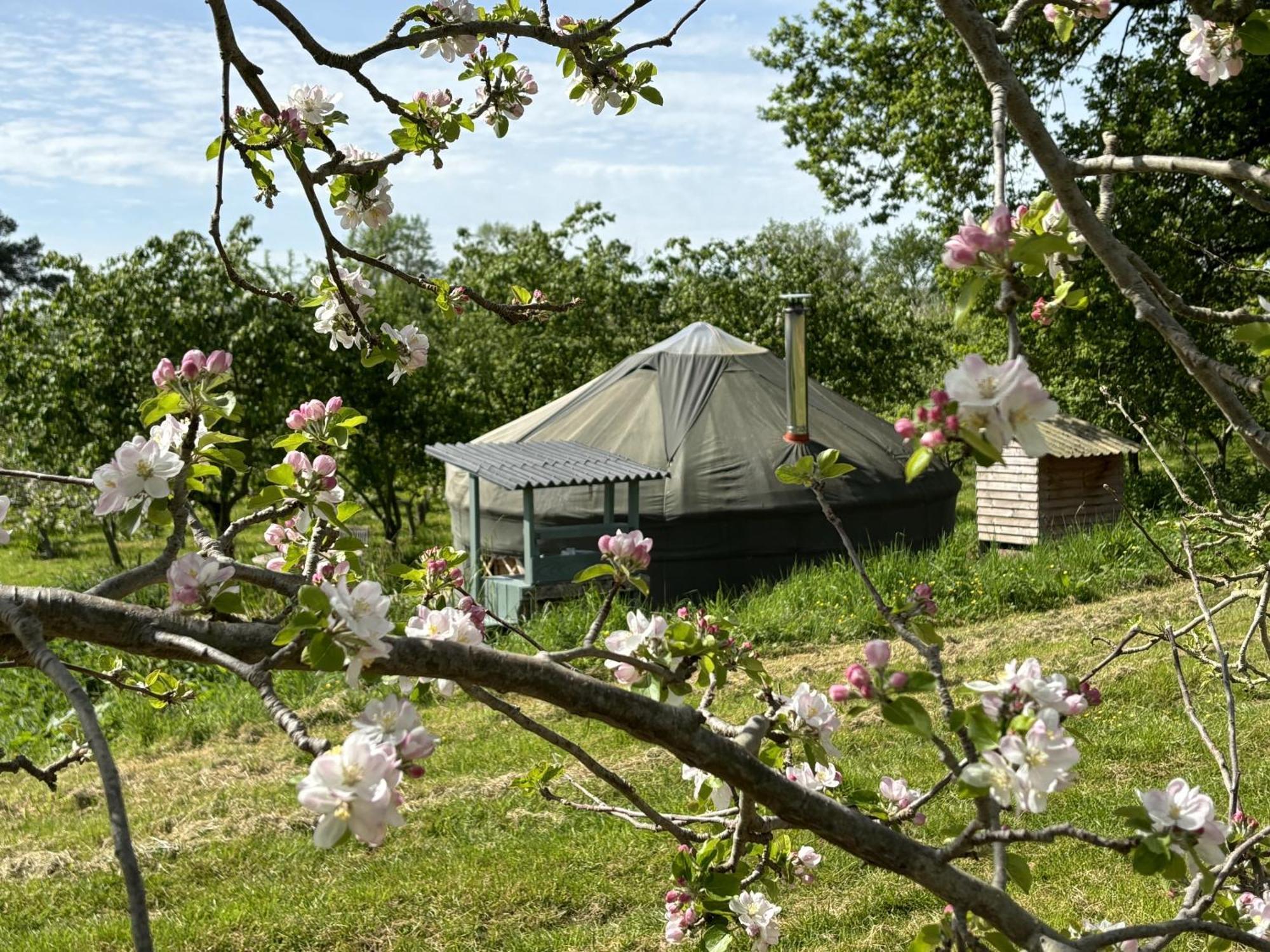 Vila Dragon Orchard Retreat Ledbury Exteriér fotografie